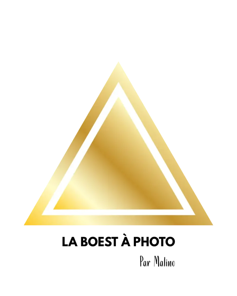 logo with white and gold triangle "La Boest à photo"
